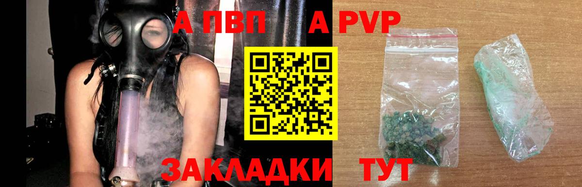 A PVP Новочеркасск