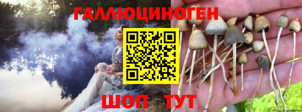 Псилоцибиновые грибы GOLDEN TEACHER Новочеркасск